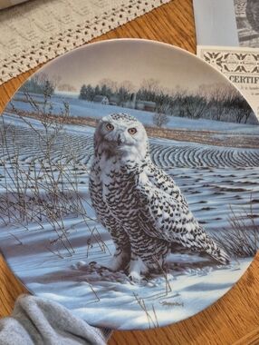 Knowles China The Snowy Owl Collector Plate By Jim Beaudoin Plate #2290G 1989